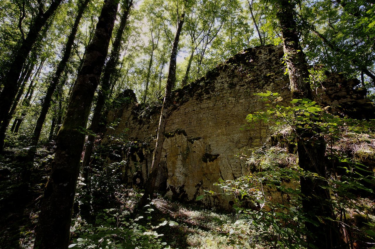 Monuments Château de la Chatelaine 2975